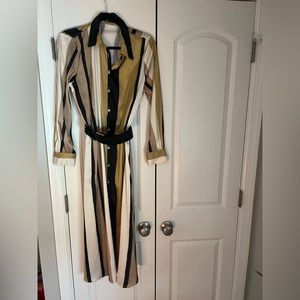 Zara Striped Belted Shirtdress